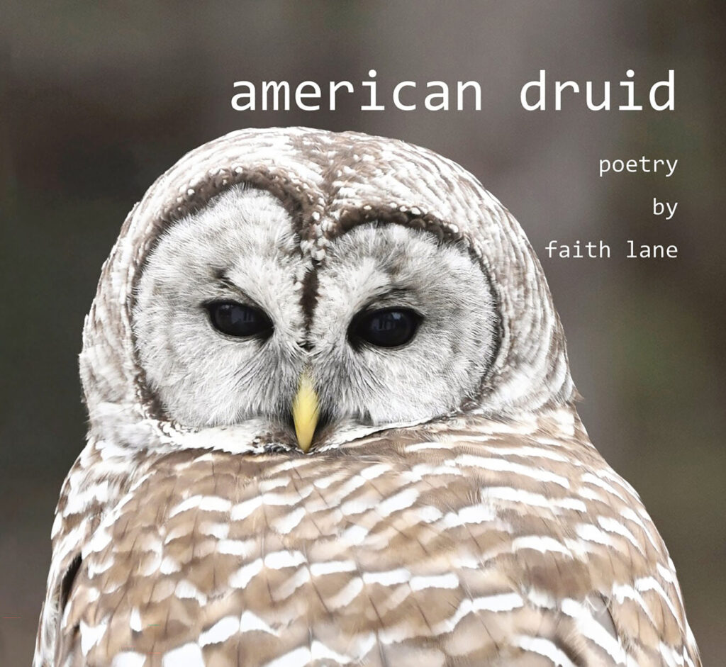 american druid: poetry