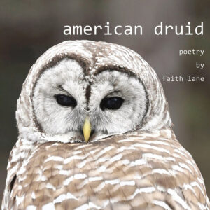 american druid: poetry