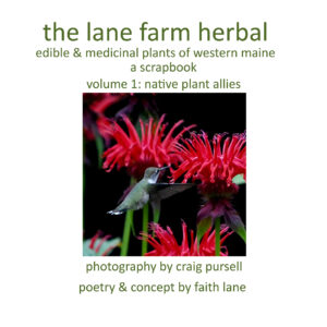 the lane farm herbal, volume 1: native plant allies